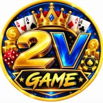 2V game logo