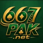 667Pak game