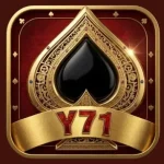Y71 Game