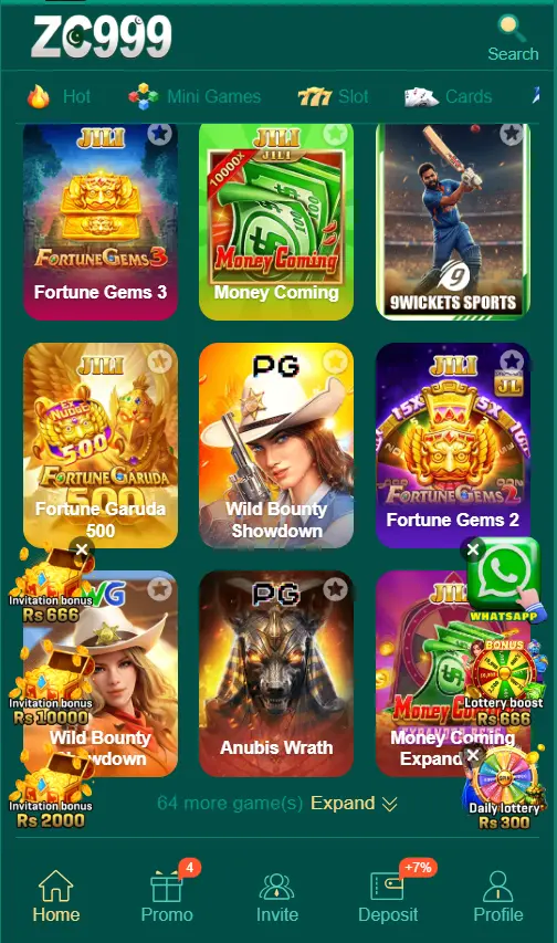 zc999 game