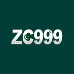 zc999 game